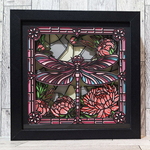 Dragonfly shadowbox