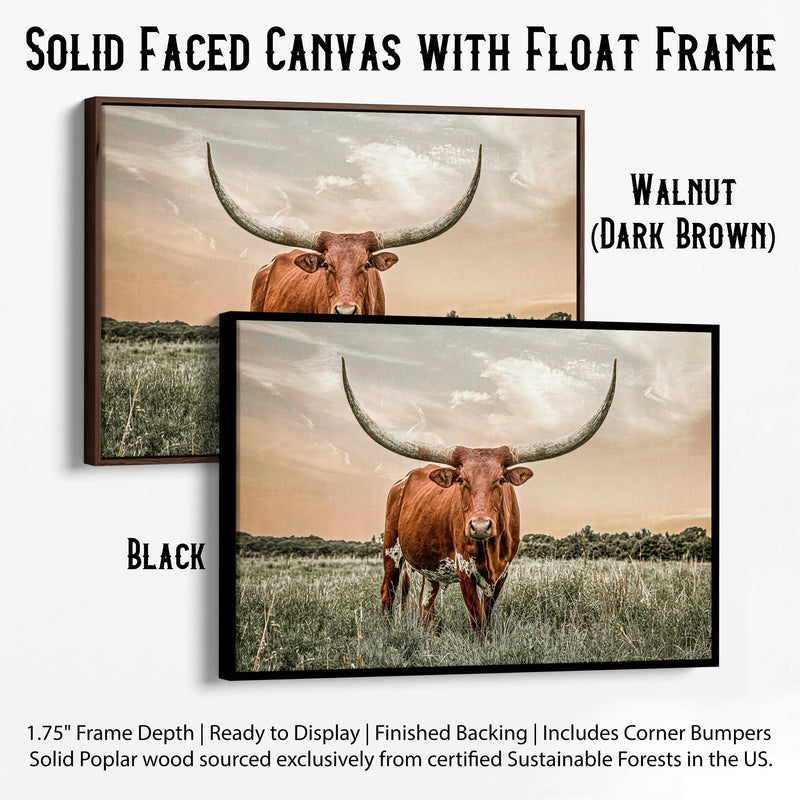 longhorn hippy float frames