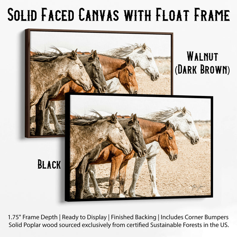 horses colors float frames