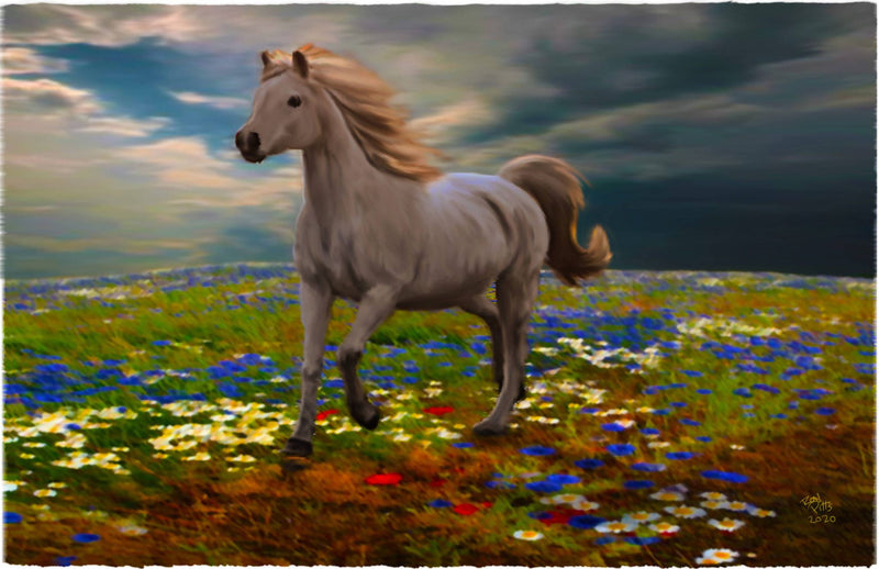 11X17 ART PRINT--"WHITE HORSE'