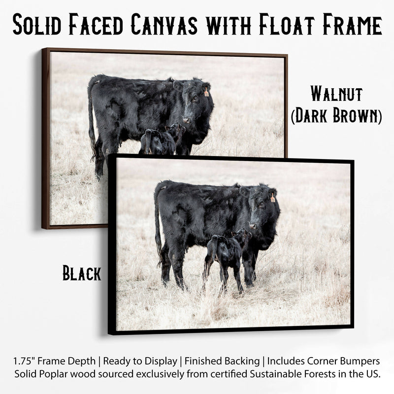 angus cow calf float frames