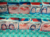 Fourth of July | Oatmeal Soap