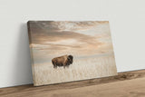Bison / Buffalo Canvas Wall Art