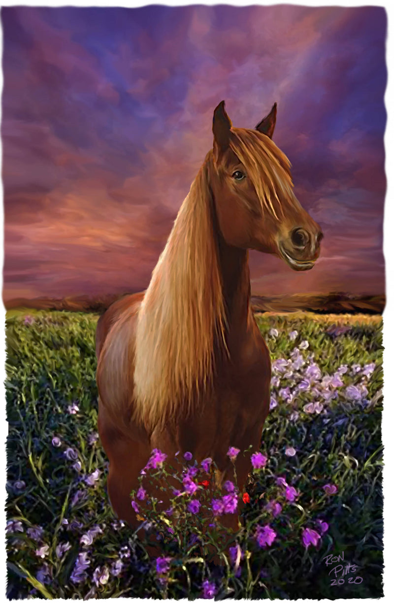 11x17 ART PRINT--"HUNK OF A HORSE"