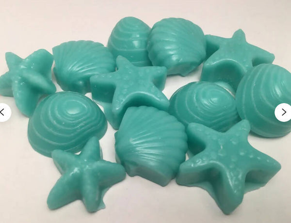 Coco Beach Wax Melts