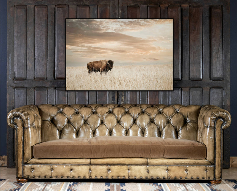 bison gold wall20